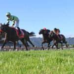 Premium Horse Racing Action