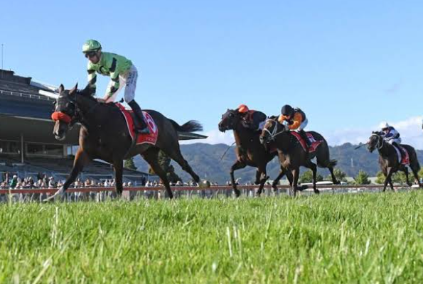 Premium Horse Racing Action