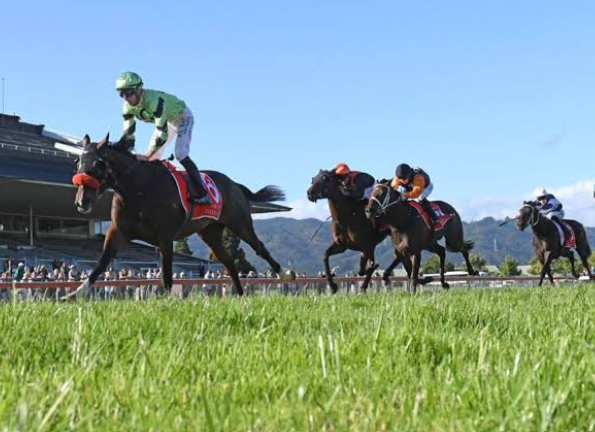 Premium Horse Racing Action